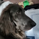 Cary Clark - @cc_rider115 - Instagram