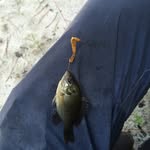 Cary Clark - @gofer1065 - Instagram
