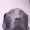 cocodacary - @cocodacary - TikTok