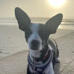Cary O'Connor - @carylou.oconnor - Instagram