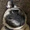Sniffles_1234 - @connor_cary - TikTok