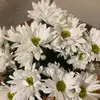 Cary Cooks - @carycooks - TikTok