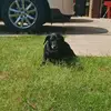 Cary Cox - @carebear042410 - TikTok