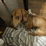 Cary Cox - Facebook