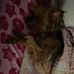 Carri Dabney - Facebook
