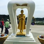 Cary Denton - @dentoncary - Instagram