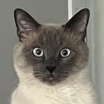 Cary Dodson - @fauxfaerie1 - Instagram