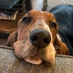 Cary Ely - @cary.ely - Instagram