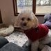 Caryl Ewing - Facebook