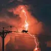 thewickedone - @caryford - TikTok