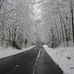 Cary Foreman - Facebook