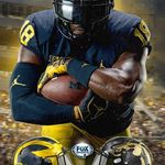 Cary Gilbert - @freeze_41 - Instagram