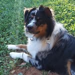 Cary Gordon - @cary.gordon.777 - Instagram
