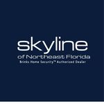 Cary Grimm - @skylinesecurityjax - Instagram