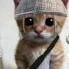 caryholmes193 - @caryholmes193 - TikTok