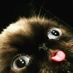 joemuma - @cary.holmes10 - Instagram