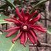 Cary Hudson - Facebook