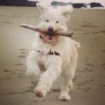 Cary Lieberman - @carylieberman - Instagram