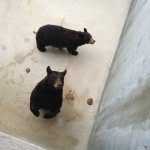Cary Mason - @cary_1132 - Instagram