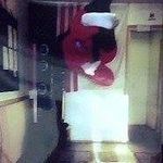 Cary Patterson - @1_sensei - Instagram