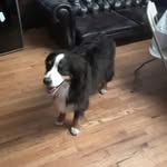 Cary Ray - @cary.ray.9 - Instagram
