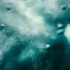 TsunamiLover - @caryraynorie37121 - TikTok
