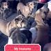 Cary Rice - Facebook
