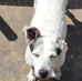 Cary Roberson - Facebook