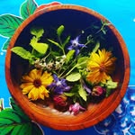 braiding roots bipothecary - @braidingrootsbipothecary - Instagram