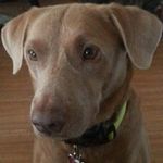 Cary Rutherford - @rutherfordcary - Instagram