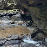 Cary Miller-Simpson - @c_8251 - Instagram
