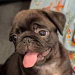 Cary Simpson - @carysimpson - Instagram
