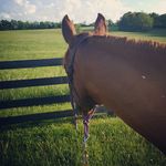 @carysimpson30 - Instagram