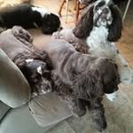Caryl Baker - @caryl.baker.3 - Instagram
