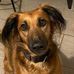 Caryl Jones - Facebook