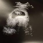 Caryn Gurney Carroll - @caryn_carroll - Instagram