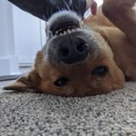 Caryn Lyons - @lyons.caryn - Instagram