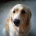 Caryn McGovern - Facebook