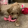 carlynmcgraw - @carlynmcgraw - TikTok