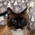 Mike Caryn Foshaug - @michaelandcaryn - Instagram