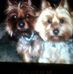 Caryn Olson - Facebook