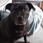 Caryn Owen - @caryn1965 - Instagram