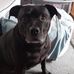 Caryn Owen - Facebook