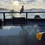 Caryn Cooknell-Parker - @cwcooknell - Instagram