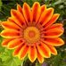 Caryn Powell - Facebook