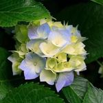 CQ - @carynquinn - Instagram