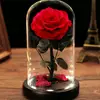 karen - @karenrafferty0 - TikTok