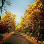 caryn ar rayyan - @carynarrayyan - Instagram
