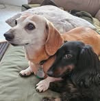 Caryn Reed - Facebook