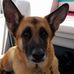 Caryn Rice - Facebook